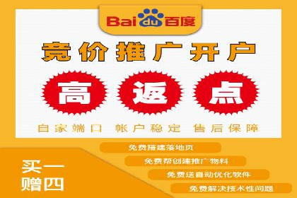 SEM竞价代运营：案例展示精准营销效果
